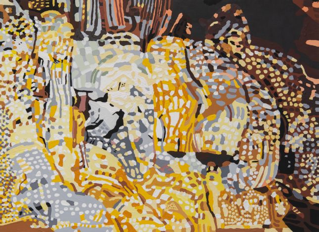 「鍾乳洞大松茸」